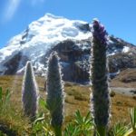 Zasněžený vrchol And