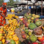 Pečlivý výběr ovoce