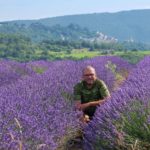 Fialový symbol Provence