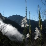 Ostré sopečné hřebeny a vrcholky hor