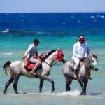 Osvěžení pro všechny